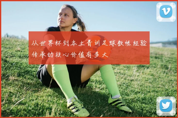 从世界杯到本土青训足球教练经验传承的核心价值有多大