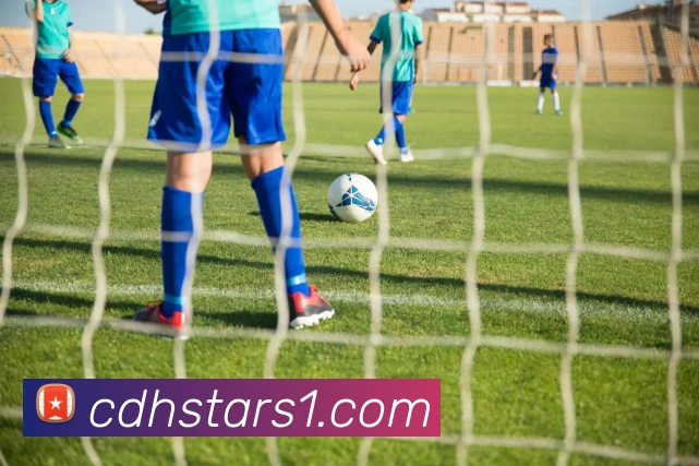 App Interface Preview